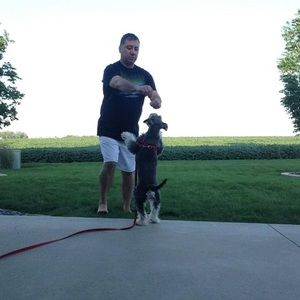 Meet your Posher, Gus